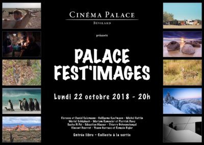 Palace Fest’images